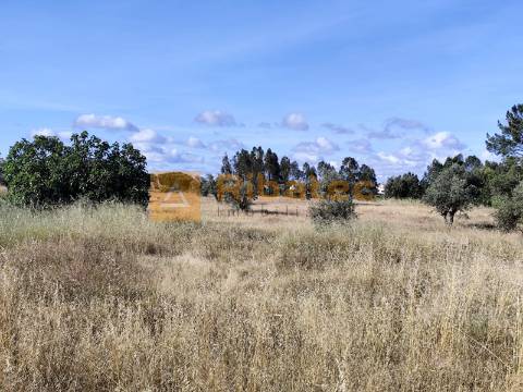 Terreno nas Fazendas da Arriça, Branca
