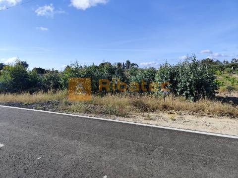 Terreno nas Fazendas da Arriça, Branca