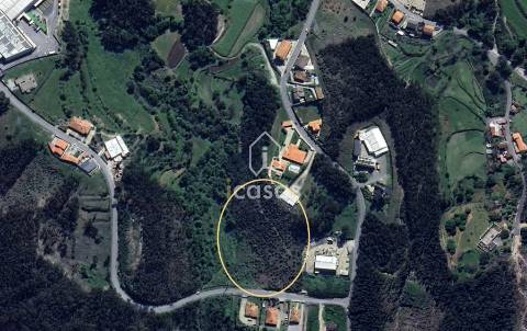 Oportunidade única de adquirir um terreno com 9.900 m² em Rebordosa