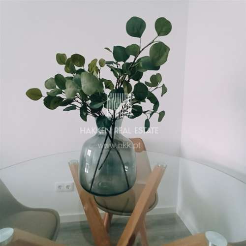 Apartamento T1+1 com Mezzanine