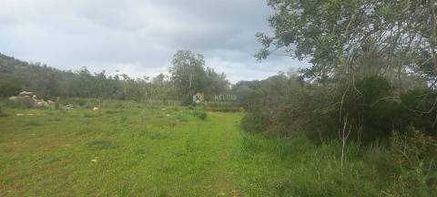 Terreno Rústico  Venda em Boliqueime,Loulé