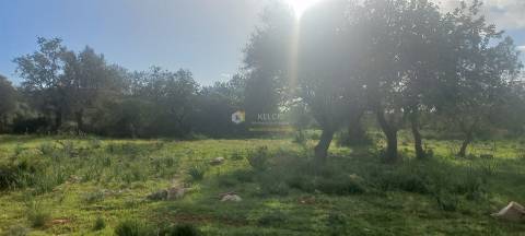 Terreno Rústico  Venda em Boliqueime,Loulé