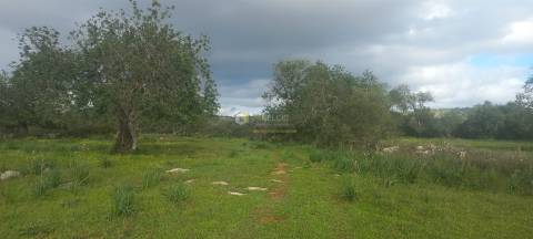Terreno Rústico  Venda em Boliqueime,Loulé