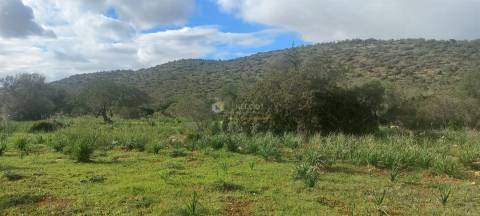 Terreno Rústico  Venda em Boliqueime,Loulé