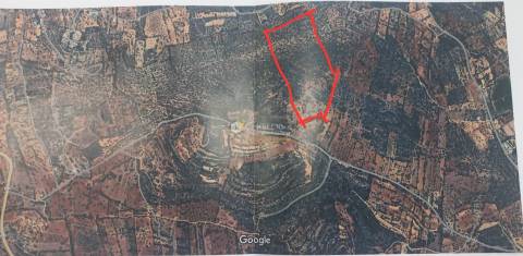 Terreno Rústico  Venda em Boliqueime,Loulé