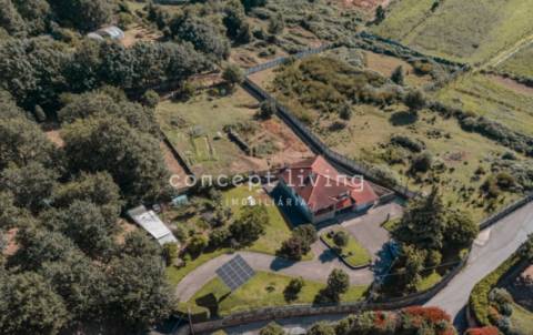 Moradia T3+1 Venda em Oliveira (Santa Maria),Vila Nova de Famalicão