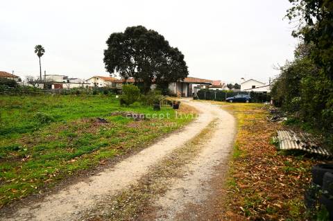 Armazém  Venda em Santa Maria de Lamas,Santa Maria da Feira