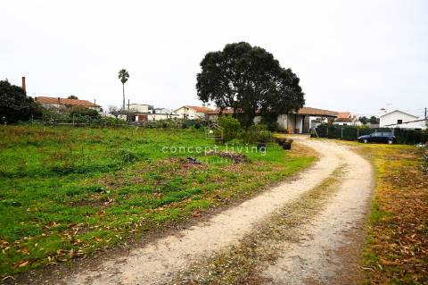 Armazém  Venda em Santa Maria de Lamas,Santa Maria da Feira