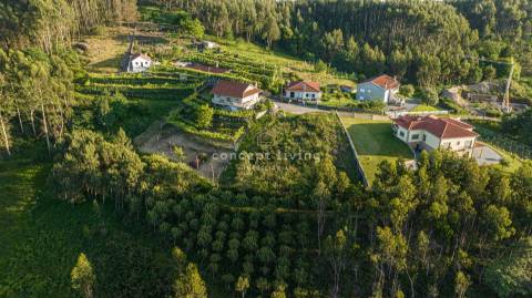 Lote de Terreno  Venda em Serzedelo,Póvoa de Lanhoso
