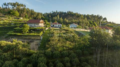 Lote de Terreno  Venda em Serzedelo,Póvoa de Lanhoso