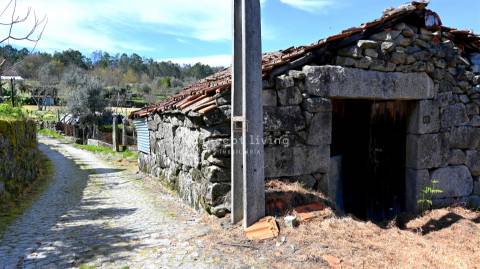 Moradia para Restaurar T2 Venda em Mamouros, Alva e Ribolhos,Castro Daire