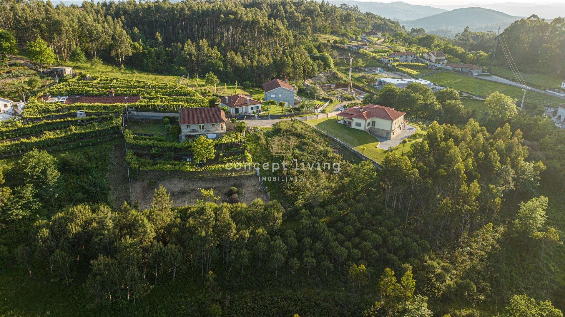 Terreno  Venda em Serzedelo,Póvoa de Lanhoso