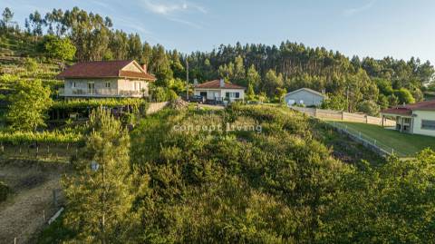 Terreno  Venda em Serzedelo,Póvoa de Lanhoso