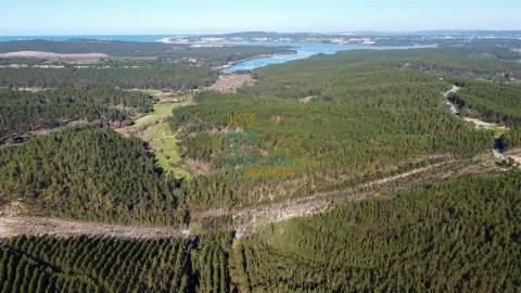 Terreno com 72ha perto da Lagoa de Óbidos