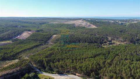 Terreno com 72ha perto da Lagoa de Óbidos