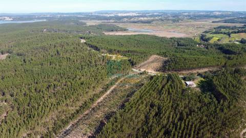 Terreno com 72ha perto da Lagoa de Óbidos