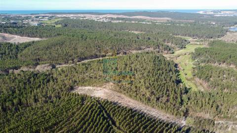 Terreno com 72ha perto da Lagoa de Óbidos