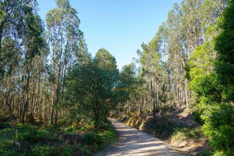 Terreno com 72ha perto da Lagoa de Óbidos