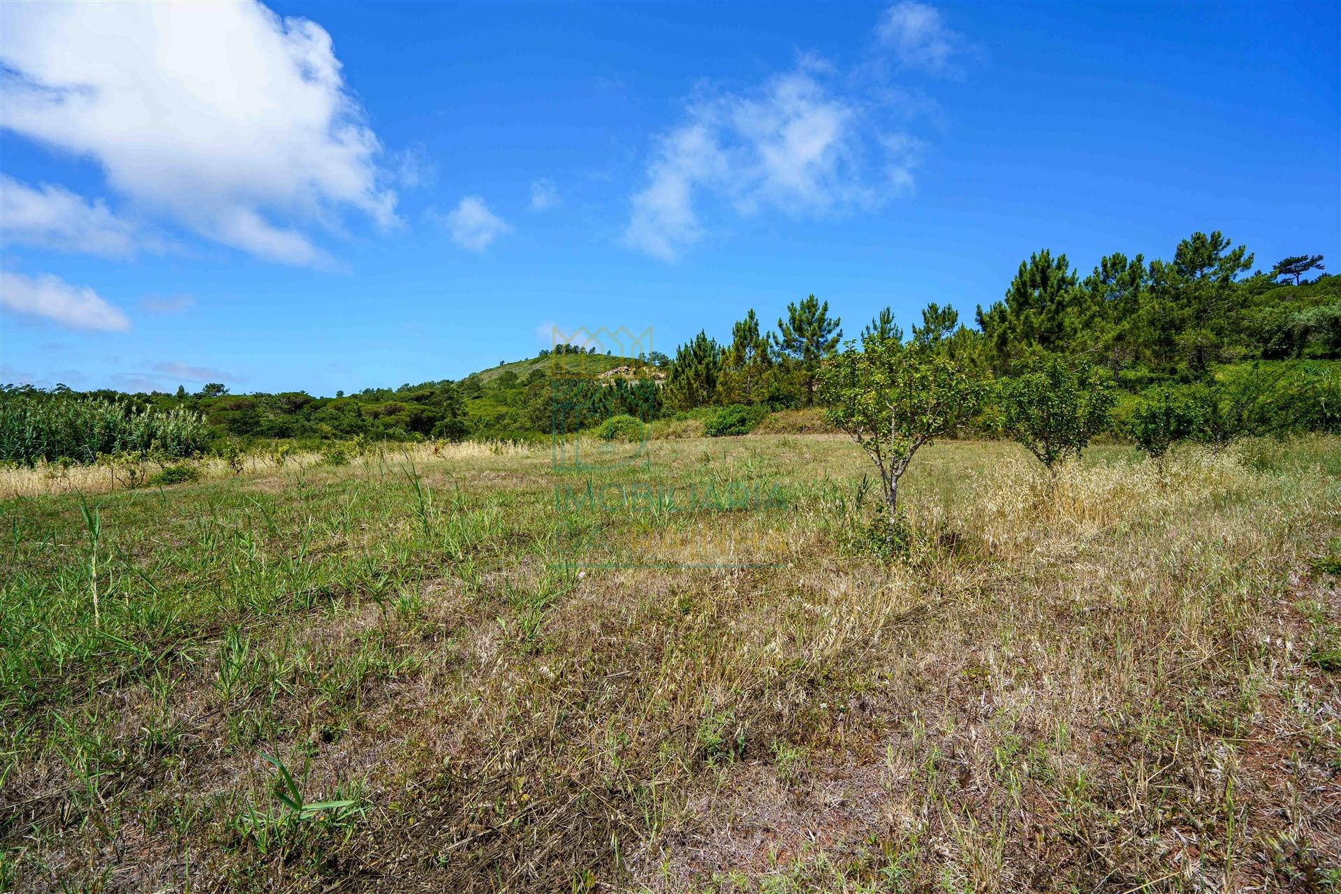 Terreno para Construção próximo da Nazaré.