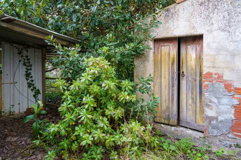 Terreno para construção no centro de Caldas da Rainha