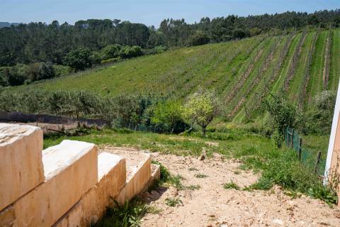 Moradia com garagem, piscina e vista sobre o campo em Caldas da Rainha