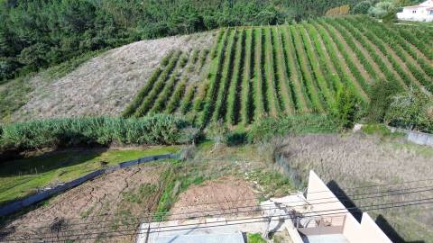 Moradia com garagem, piscina e vista sobre o campo em Caldas da Rainha