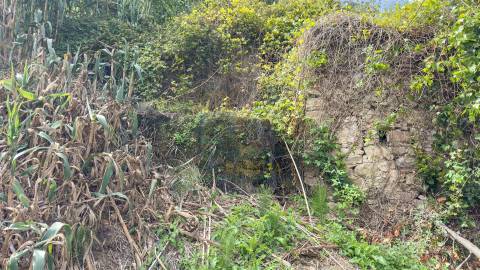 Terreno Urbano para Construção a 15 minutos de Caldas da Rainha