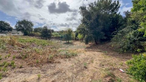 Terreno Urbano para Construção a 15 minutos de Caldas da Rainha