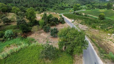 Terreno Urbano para Construção a 15 minutos de Caldas da Rainha