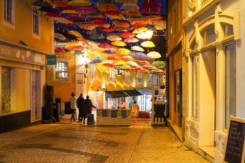 Terreno Urbano para Construção a 15 minutos de Caldas da Rainha