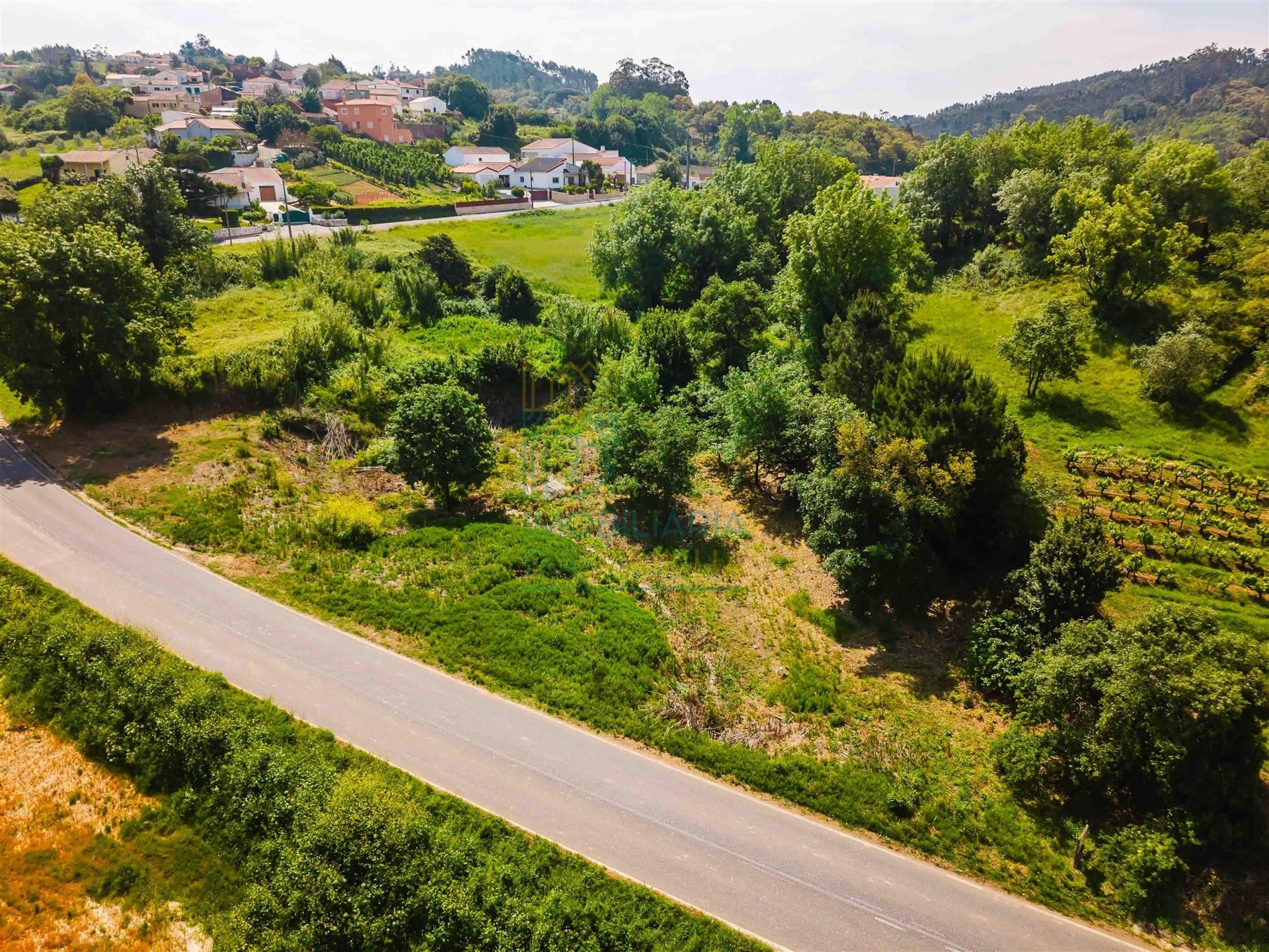 Terreno Urbano para Construção a 15 minutos de Caldas da Rainha