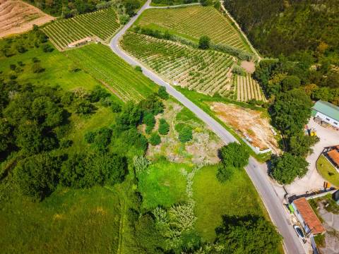 Terreno Urbano para Construção a 15 minutos de Caldas da Rainha
