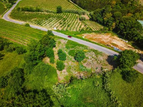 Terreno Urbano para Construção a 15 minutos de Caldas da Rainha
