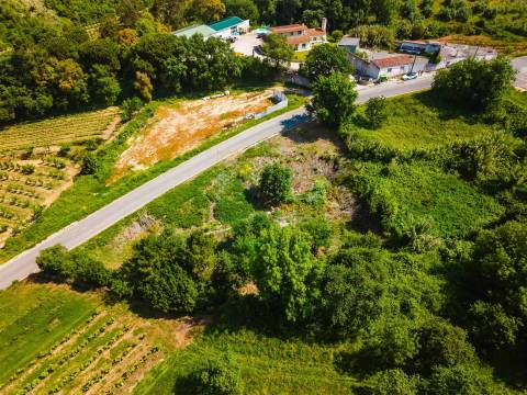 Terreno Urbano para Construção a 15 minutos de Caldas da Rainha