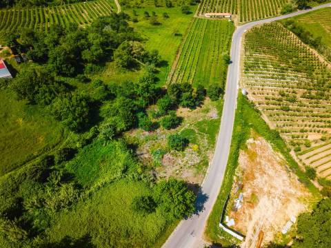 Terreno Urbano para Construção a 15 minutos de Caldas da Rainha