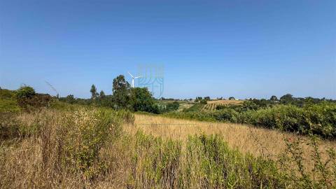 Casa para Recuperar com Terreno – Cela Nova, Alcobaça