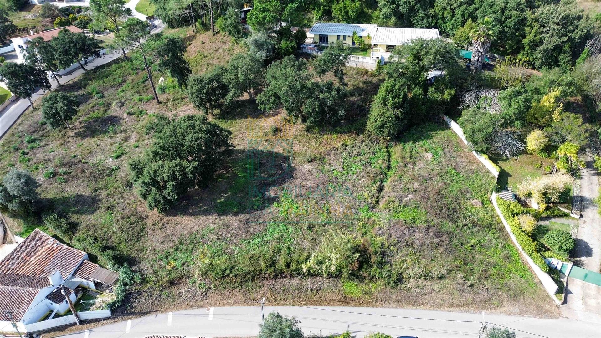 Terreno com vista sobre o campo em Salir de Matos