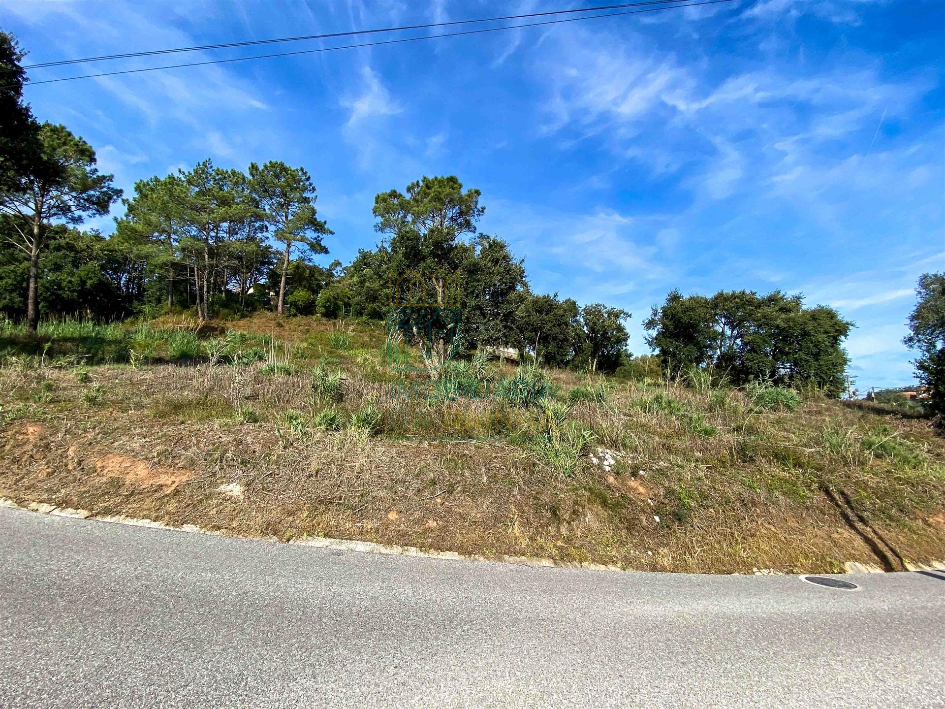 Terreno com vista sobre o campo em Salir de Matos
