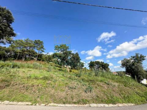 Terreno com vista sobre o campo em Salir de Matos