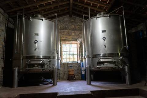 Quinta com Elevado Potencial Turístico | Próxima de Coimbra