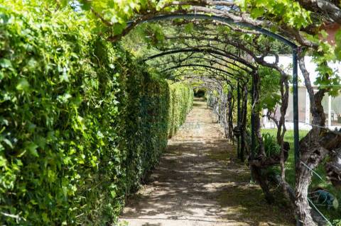 Quinta com Elevado Potencial Turístico | Próxima de Coimbra