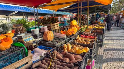 Lugares de Garagem no Centro de Caldas da Rainha