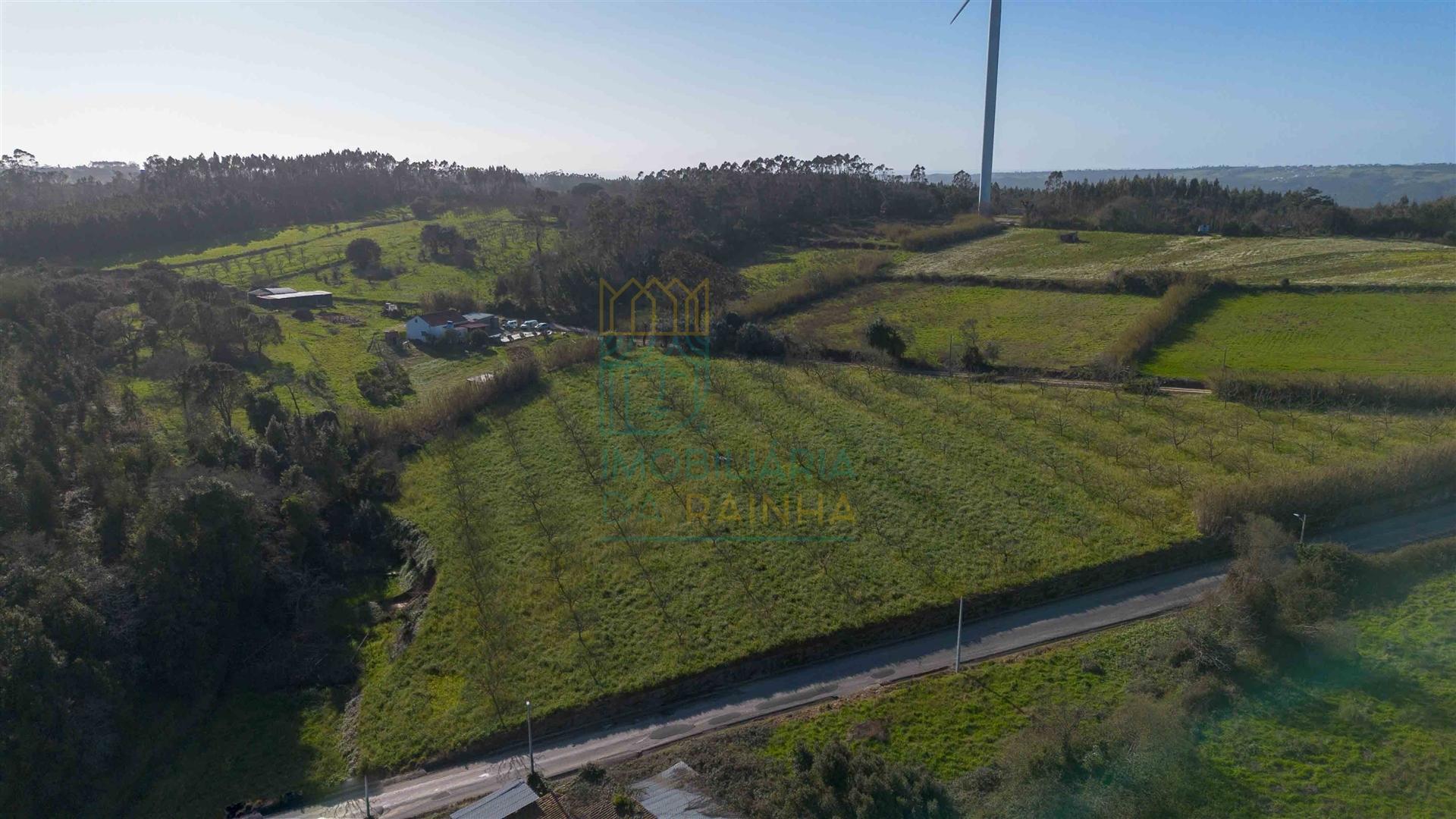 Terreno com 1,3 Hectares e Poço – Cela Nova, Alcobaça