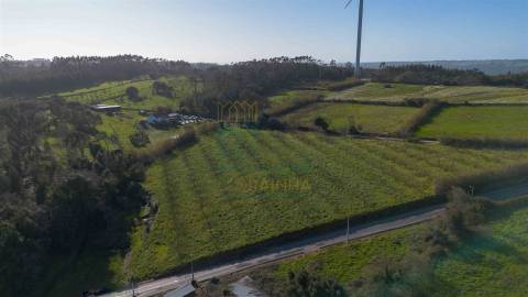 Terreno com 1,3 Hectares e Poço – Cela Nova, Alcobaça