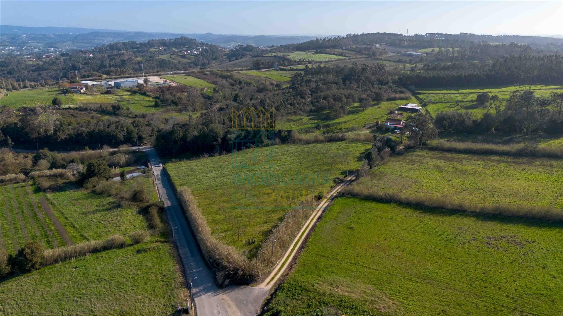 Terreno com 1,3 Hectares e Poço – Cela Nova, Alcobaça