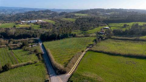 Terreno com 1,3 Hectares e Poço – Cela Nova, Alcobaça