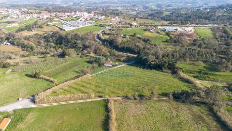 Terreno com 1,3 Hectares e Poço – Cela Nova, Alcobaça