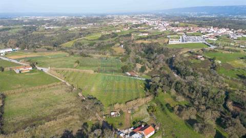 Terreno com 1,3 Hectares e Poço – Cela Nova, Alcobaça