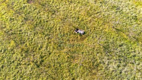 Terreno com 1,3 Hectares e Poço – Cela Nova, Alcobaça