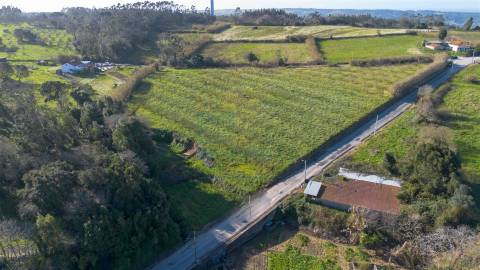Terreno com 1,3 Hectares e Poço – Cela Nova, Alcobaça